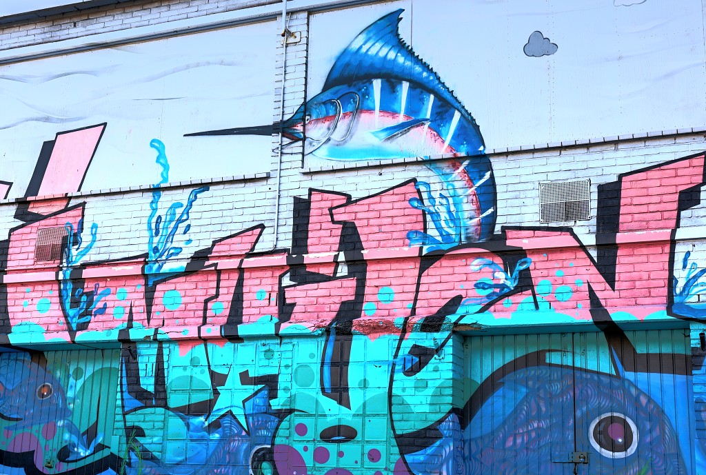 Graffiti art hdr kunst kunstwerk urbex mural murals straatkunst